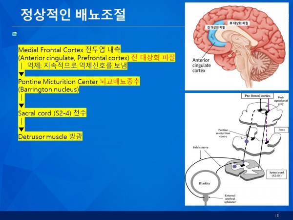 bd18d8462da1c7642dc88783f50a1ecc_1782346991_4289.JPG